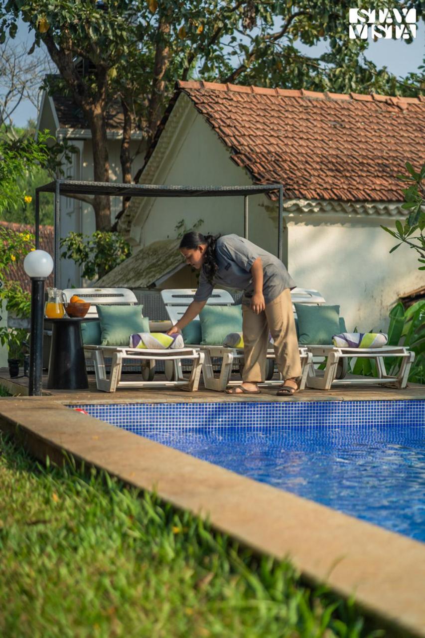 Stayvista At Amalia By Tellado With Pool, Wifi Assagao Exteriér fotografie